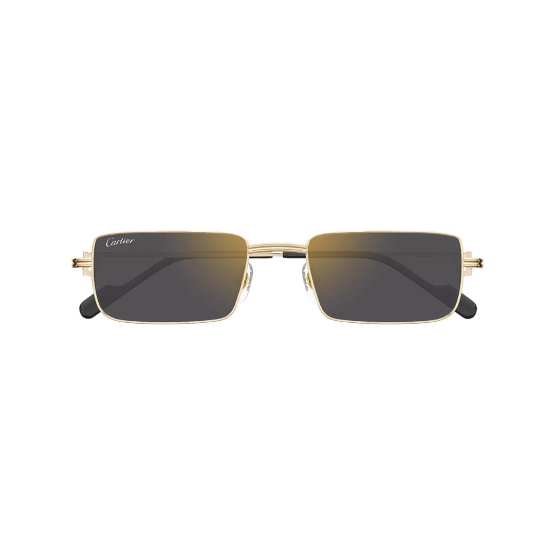 CARTIER CT0501S 005 54