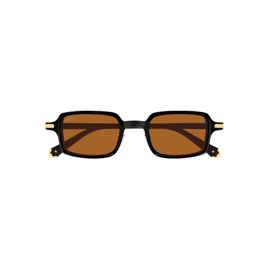 CARTIER CT0539S 003 49