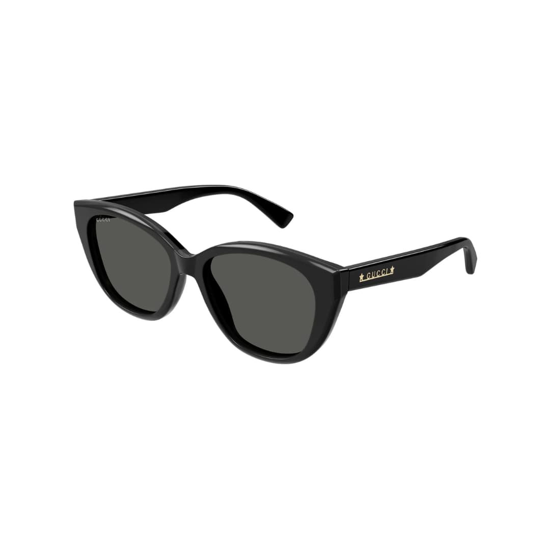 GUCCI GG1588S 001 54