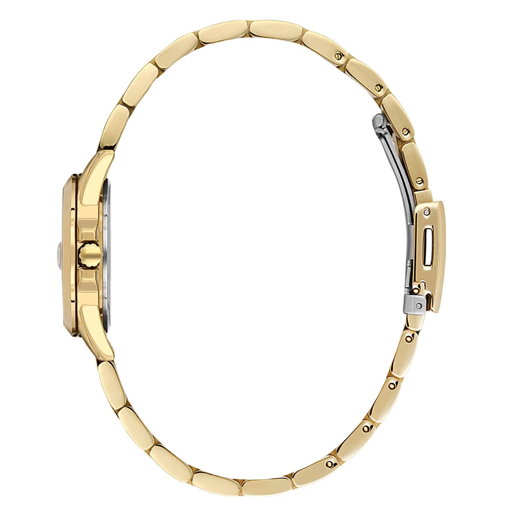 DKE.1.11017-2 Premium Women's Watch
