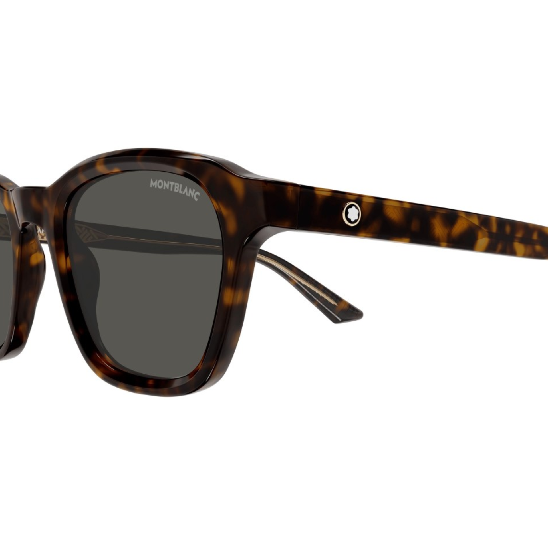 Montblanc MB0384S 002 Havana | Sunglasses Man