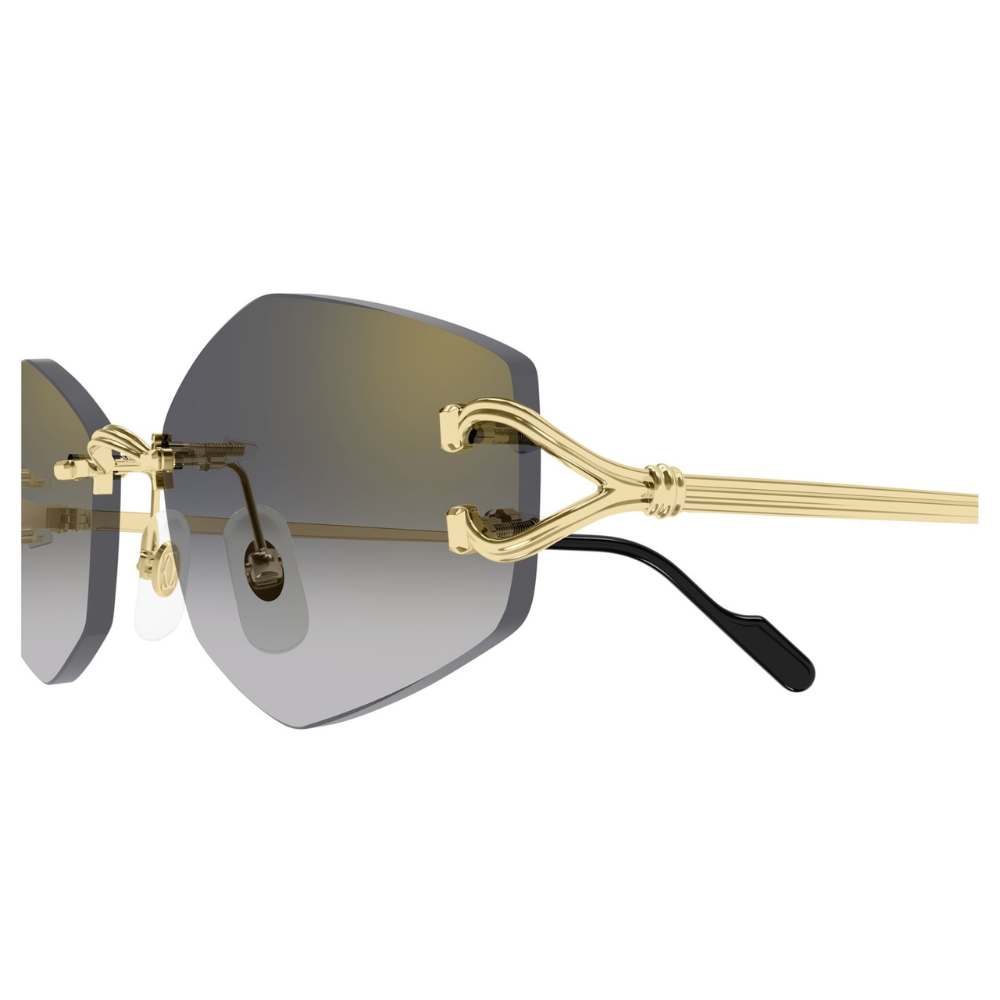 Motifs de Cartier CT0620S 001