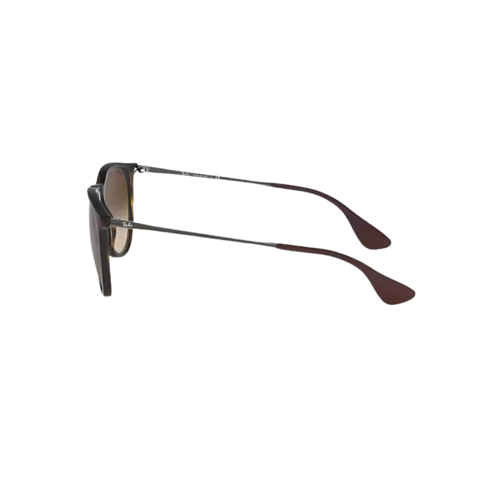 Ray-Ban Erika Güneş Gözlüğü RB4171 865/13 54