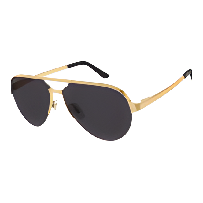 Cartier-Gold&Black Sunglasses